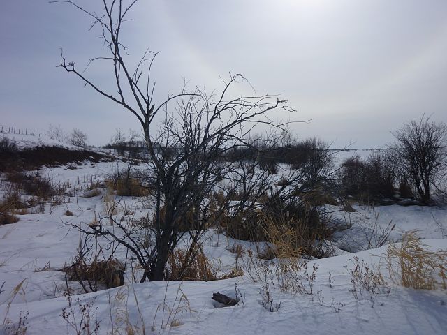 A beautiful Day to Enjoy