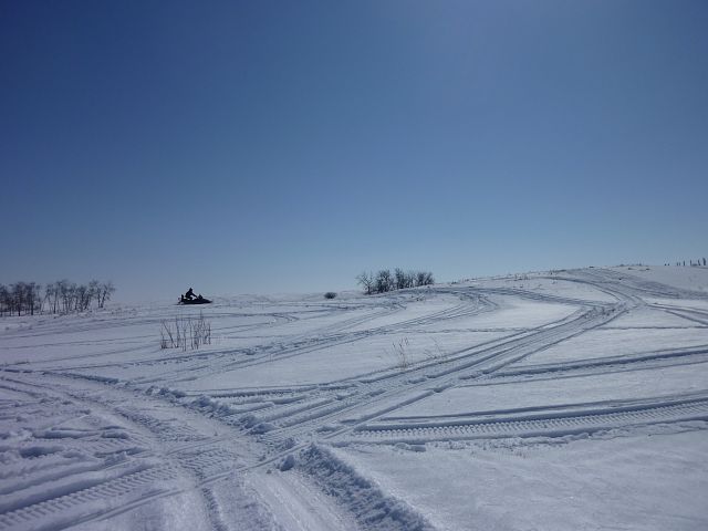 Careful How You Tread It As Every Mark Will Show