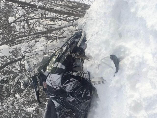 Lightning storm in the trees