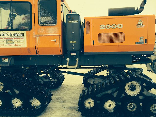 First time out with the groomer this year