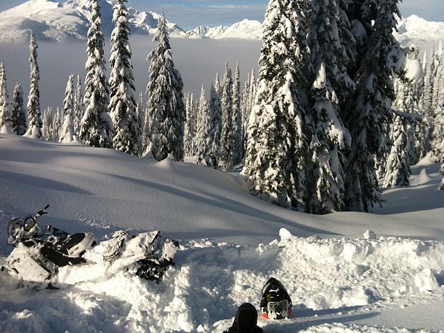 Todd enjoying the view after getting unstuck.