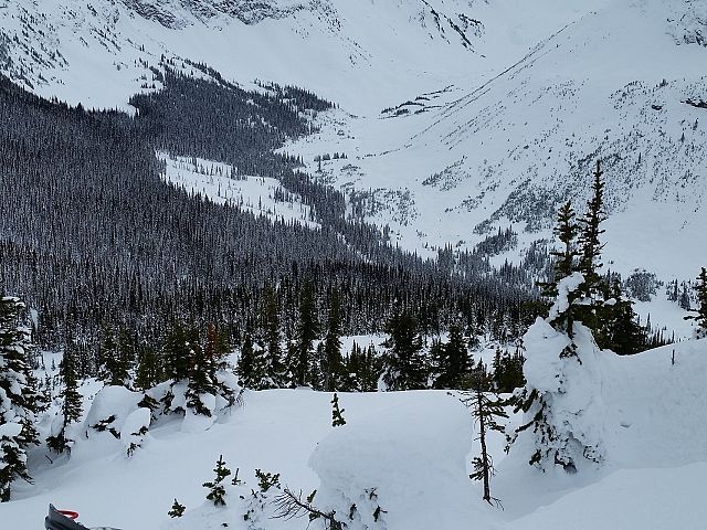 Enjoying the view after a slight miscalculation.