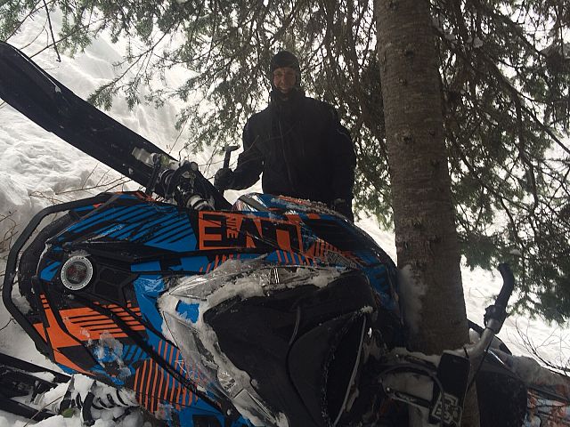 Showing the tree well some love!