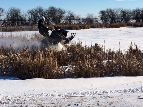 When there is some cat tails with some snow it is off her mini 120 and on to dads Viper MTX to play for a bit... Then back to the trails.... 