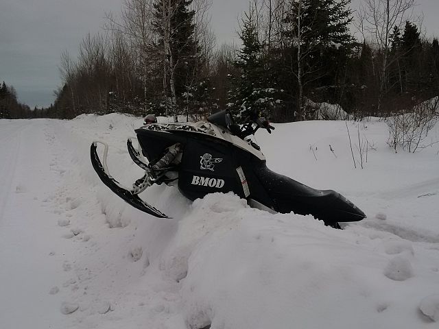 Didnt make it to the road.