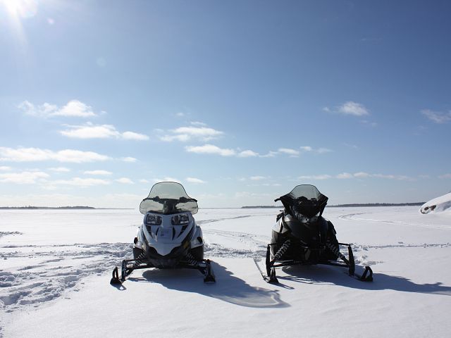 Two great cats taking in the sun