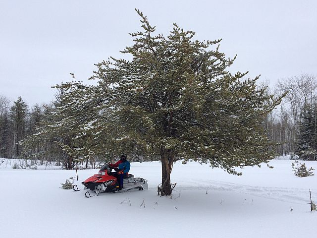 Stopping for a breather