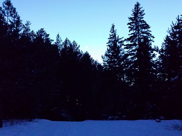 Beautiful ride under a crescent moon.