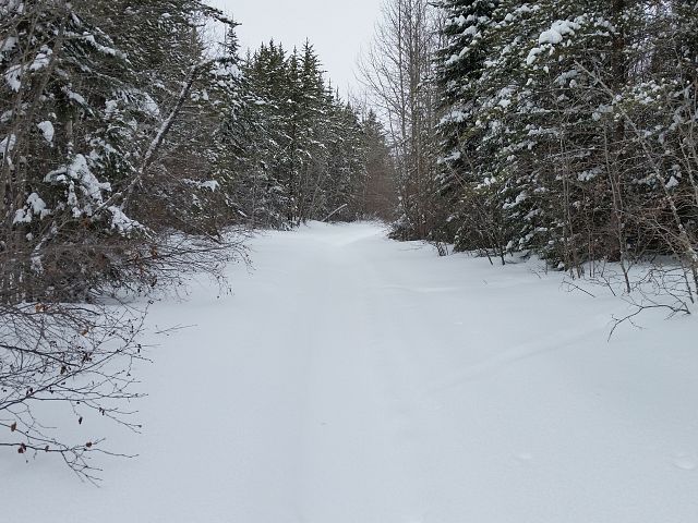 Breaking trail cruzin the trails in Manitoba going to Moose Rage Lodge