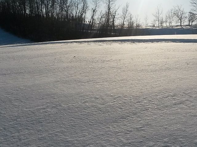 Fresh snow on a Beautiful Sunny Day