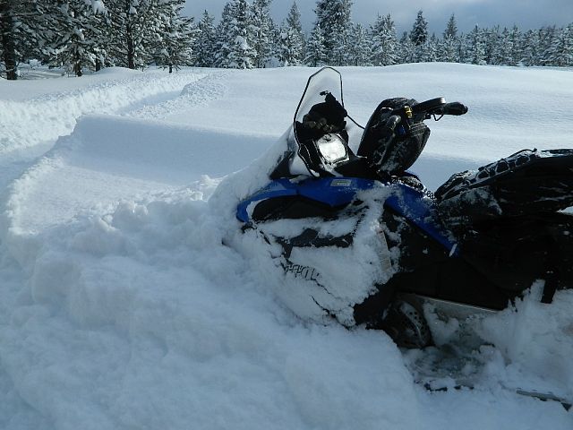 Fresh powder on the trail