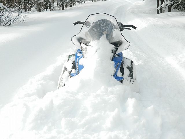 fresh powder on the trail