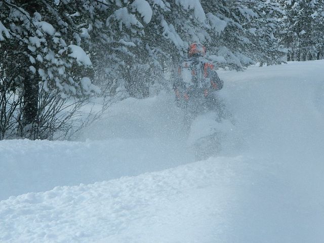 Nice Powder!!