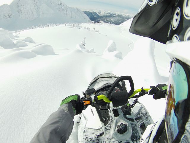 Dropping in to paradise  Plate# GHD01