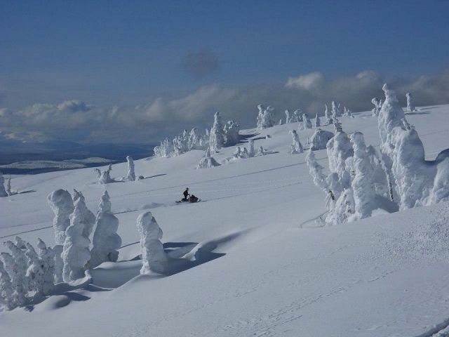 On top of the world!!(@alpine)