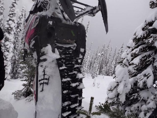 Not Sure how This Happened!!!