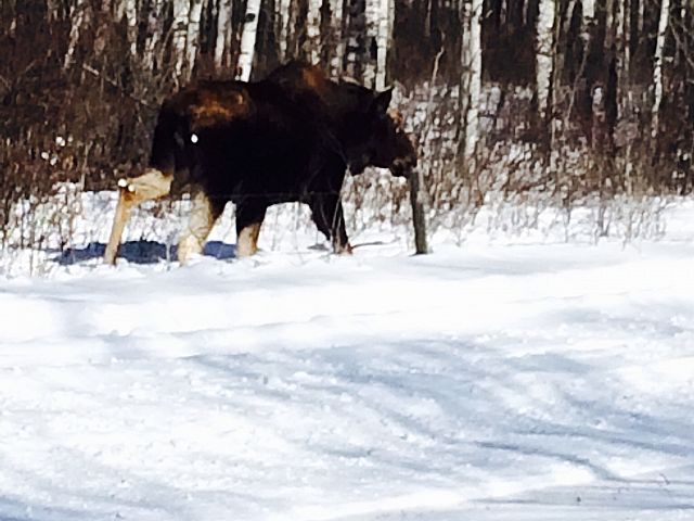keep your eyes open on the trail