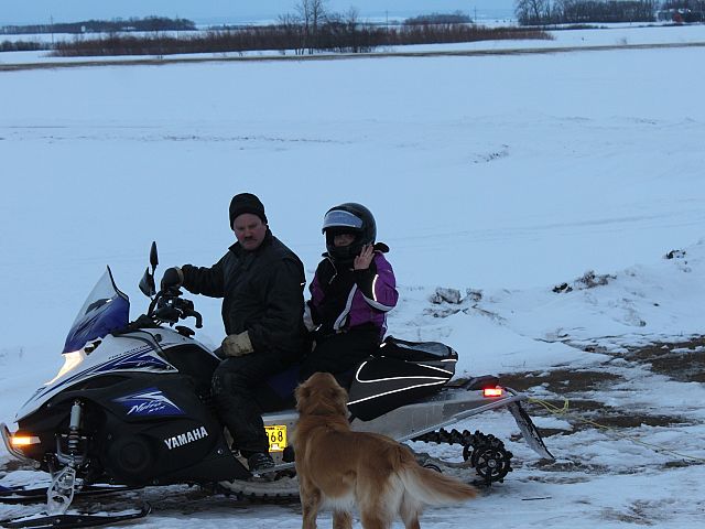 No we don't have room for our dog