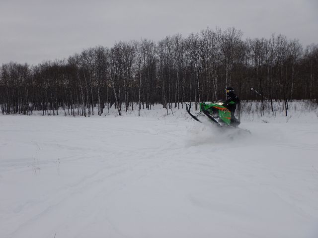 Just horse'n around!!