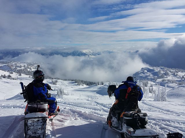 Wonder what everyone at work is doing?