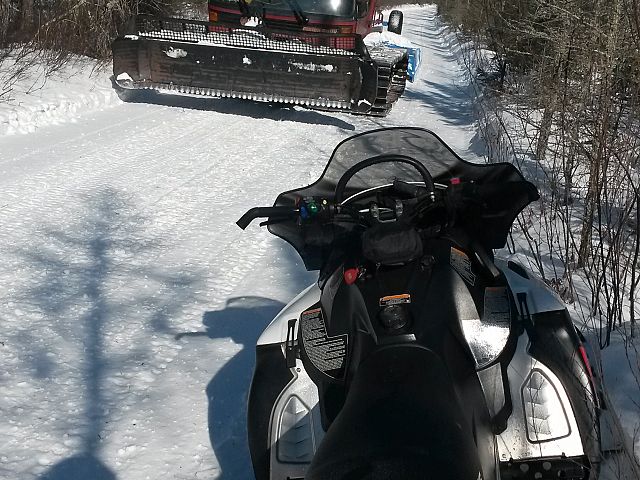 Meeting a Groomer doing a Great job.