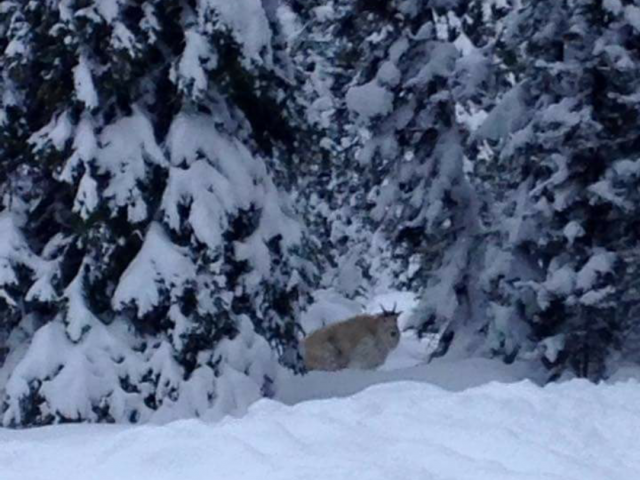 That's right he was checking out my sled