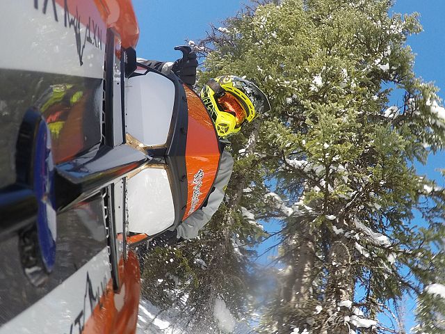 On your side, down through the trees