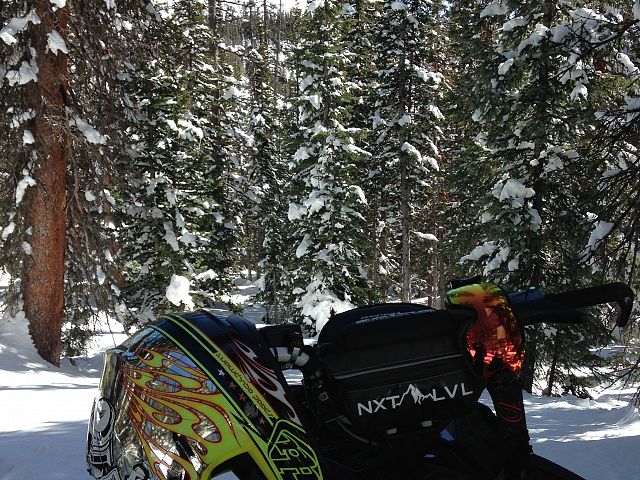 Break time in the trees