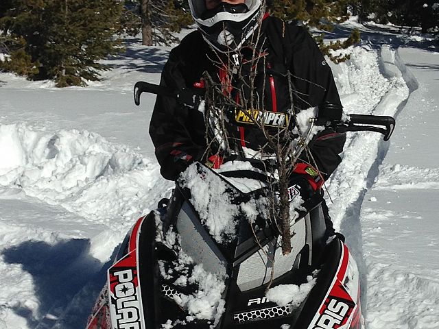 Who needs a chain saw when you have a pro!!