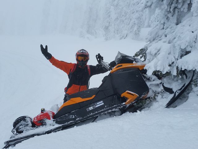 couldn't decide to zig or zag so tree it was 