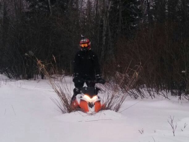 My arctic cat grew whiskers