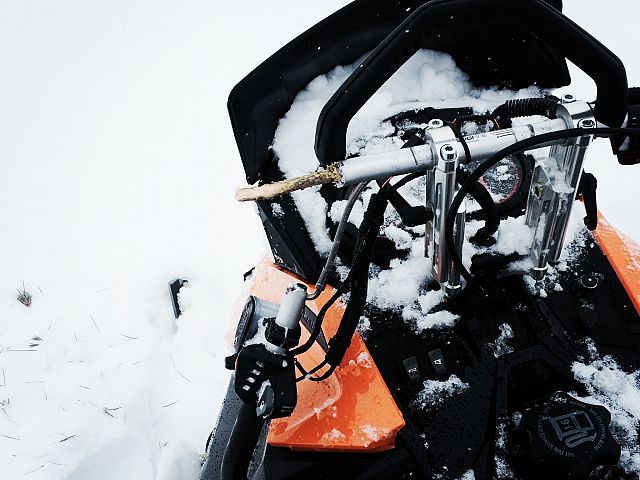 Trees aren't just for traction 