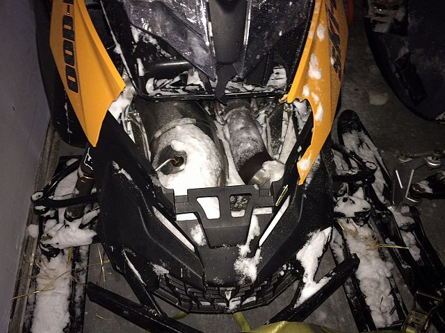 Kitty cat bumper won this round