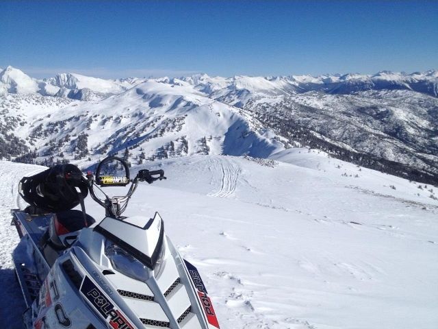 Looking into Alberta