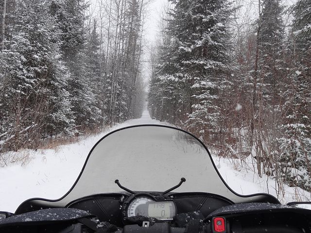 Let it snow...PLEASE LET IT SNOW!!!