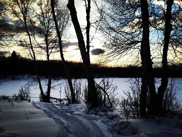 & then there comes spring 