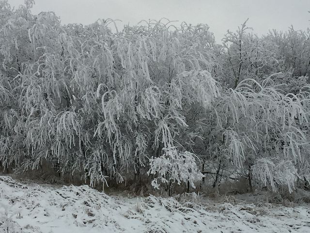 Heavy Hoarfrost