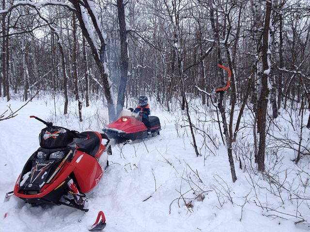 My 5yr old sons first time sledding on our private trail. 