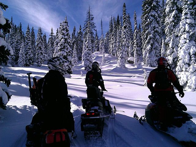 Listening for the lost one