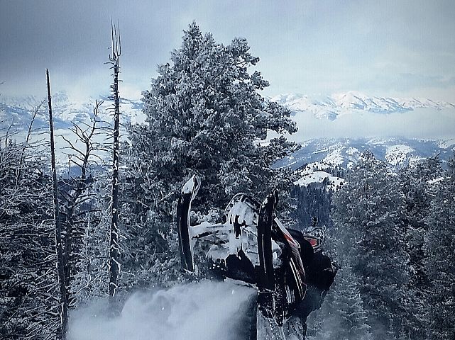 Just a chick on a cat!