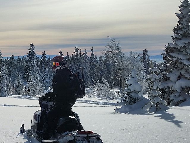 The leader of the pack..