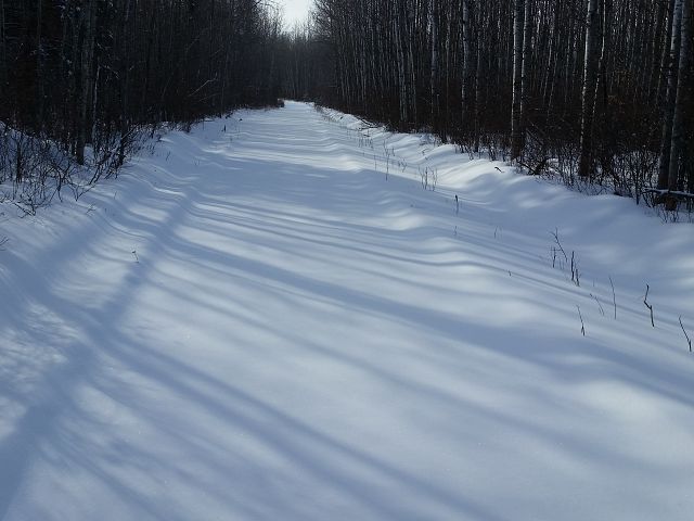 Early bird gets the trail