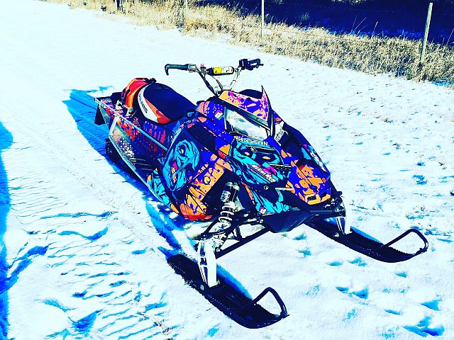 the braaping dead from thedecalden