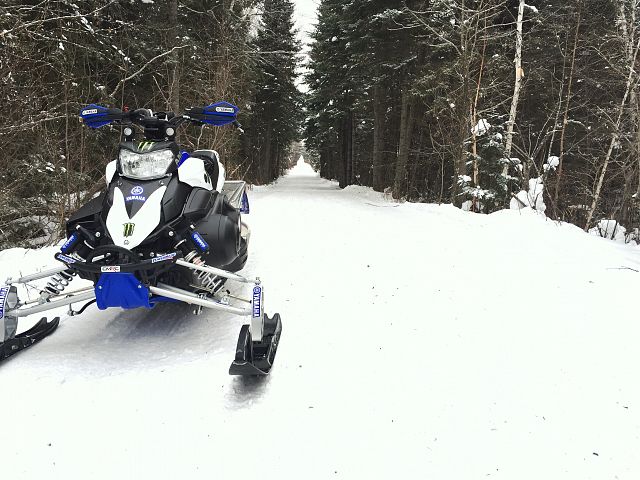 Sometimes you just have to stop and soak it in