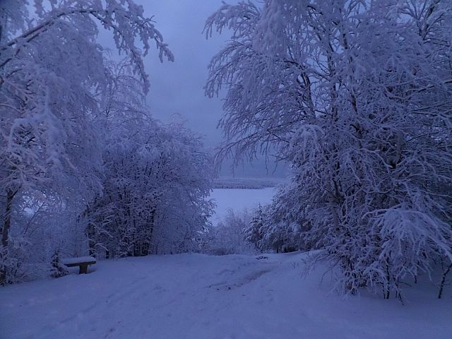 Eagle's Nest resting area overseeing Little Bear Lake