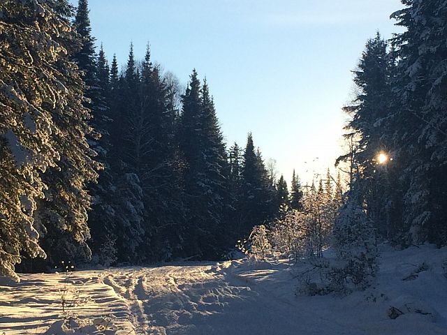 Hidson Bay trails....beautiful day for a ride!!