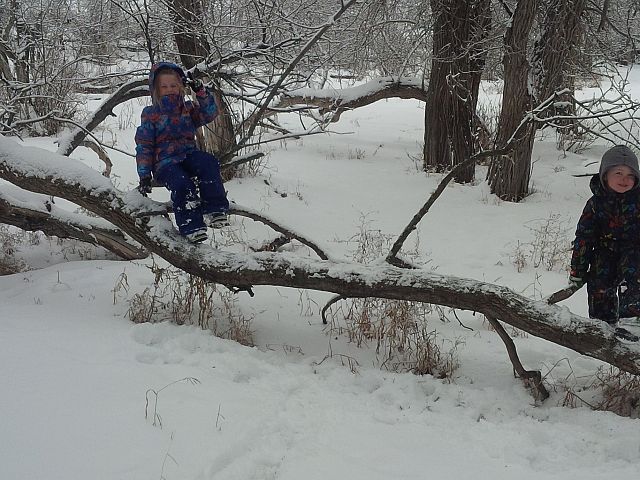 ``These trees are growing sideways dad``