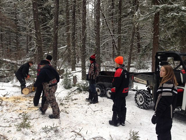 Workbee at the shelter