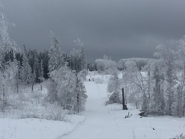 Beautiful sky, great trails!