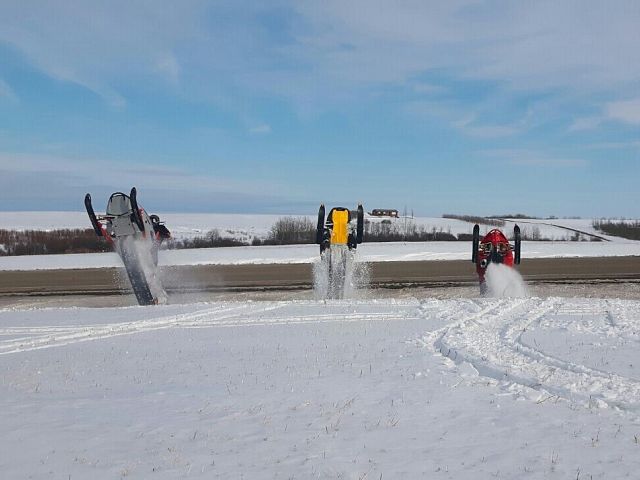 Buddies stick together 